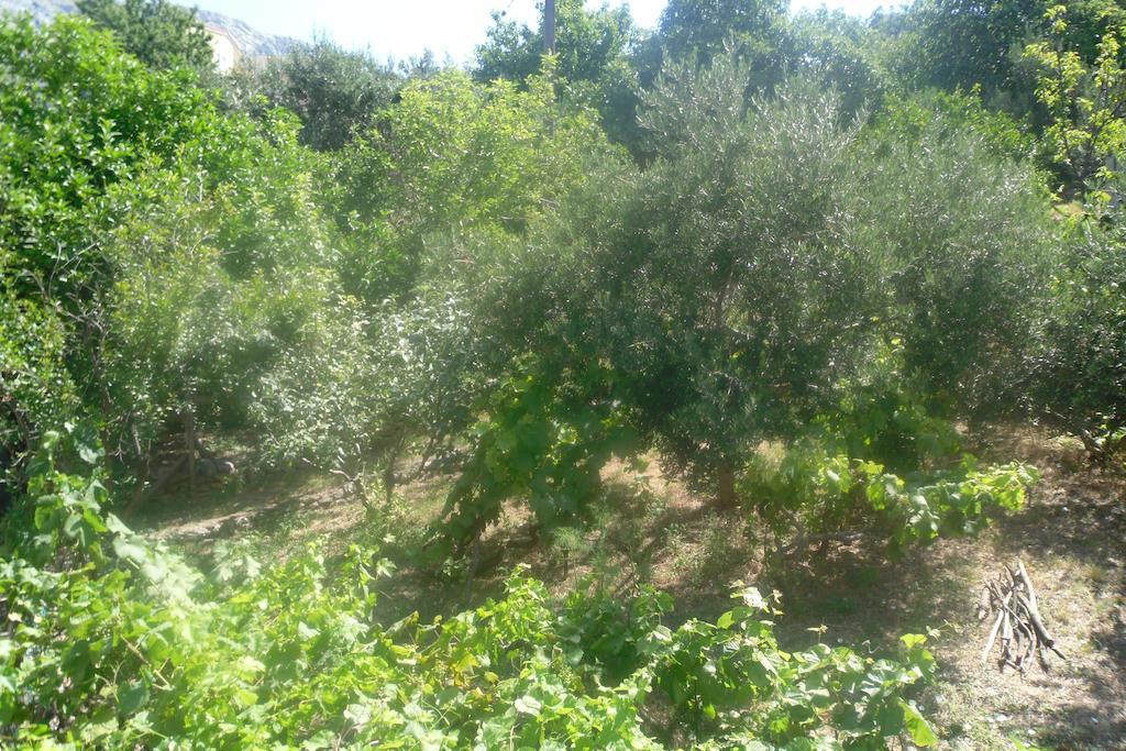 Hostel Guesthouse Mira Omiš Pokój zdjęcie
